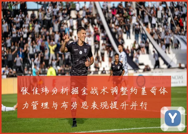 张佳玮分析掘金战术调整约基奇体力管理与布劳恩表现提升并行