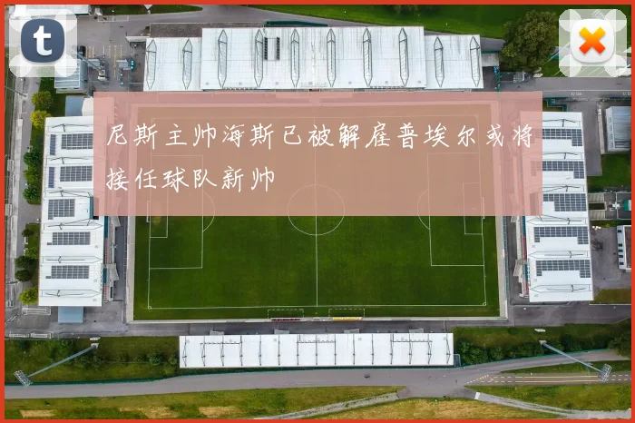 尼斯主帅海斯已被解雇普埃尔或将接任球队新帅
