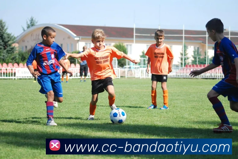 半岛体育平台生态图