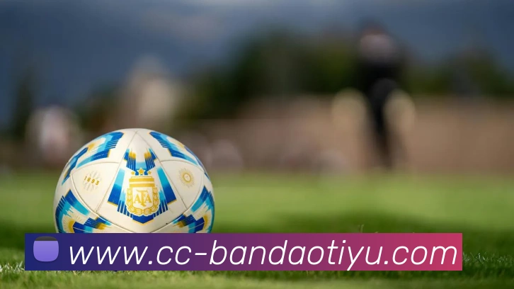 半岛体育全站App