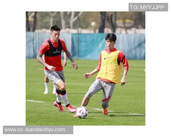 海港队实力不足努力虽在但难掩技不如人现状